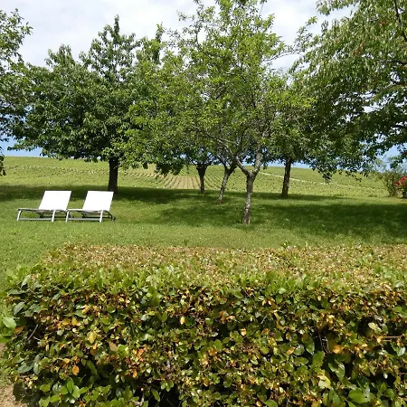 Gite Des Vignes Verdigny Exterior photo