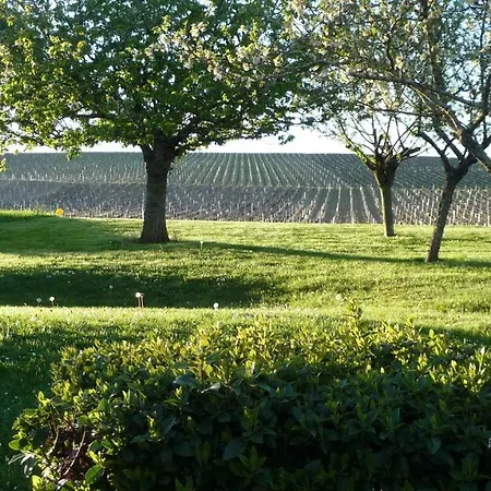 Gite Des Vignes Verdigny Exterior photo