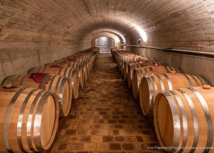 Gite Des Vignes