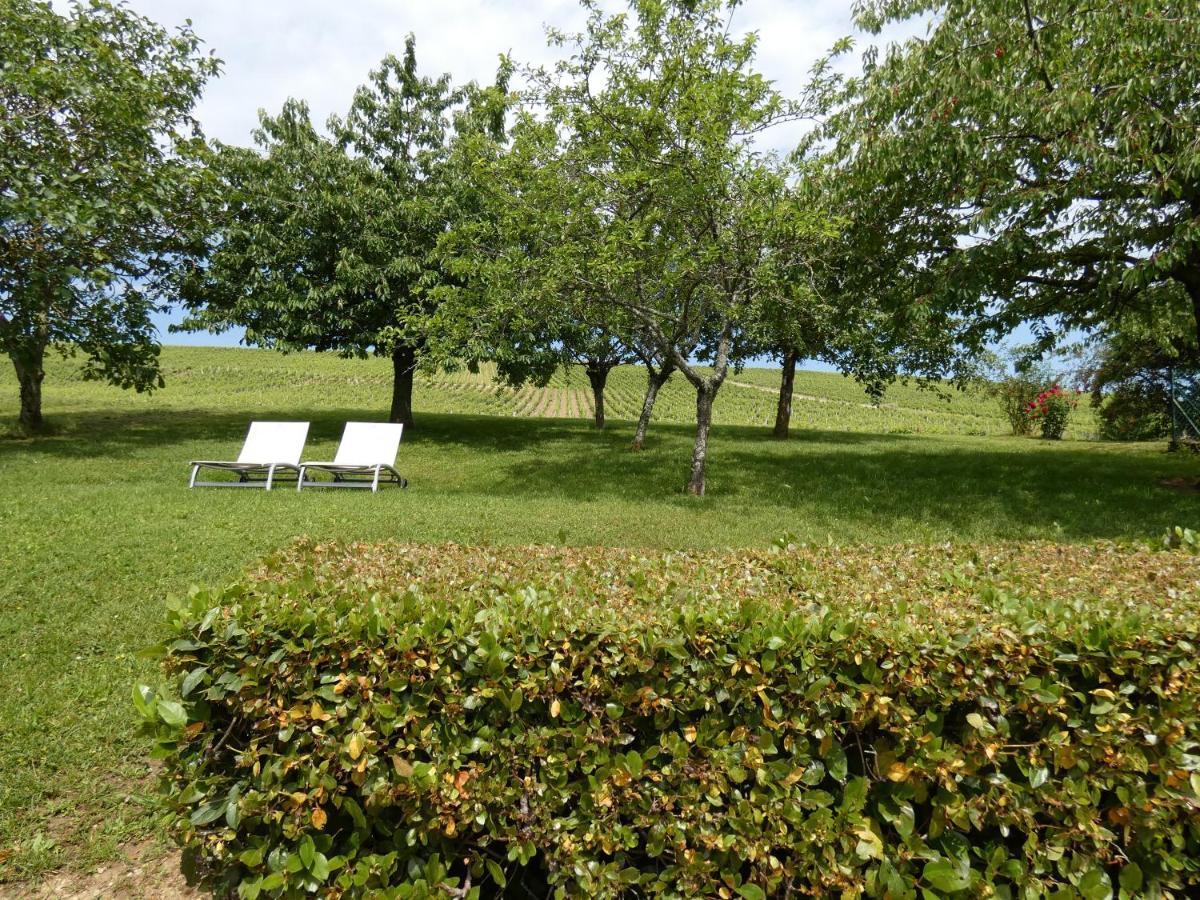 Des Vignes *