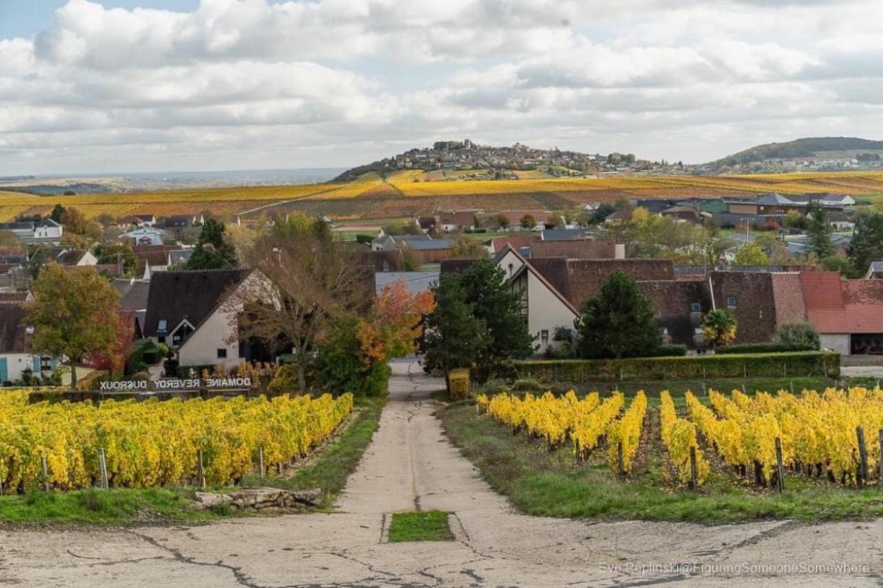 Des Vignes Holiday home Verdigny