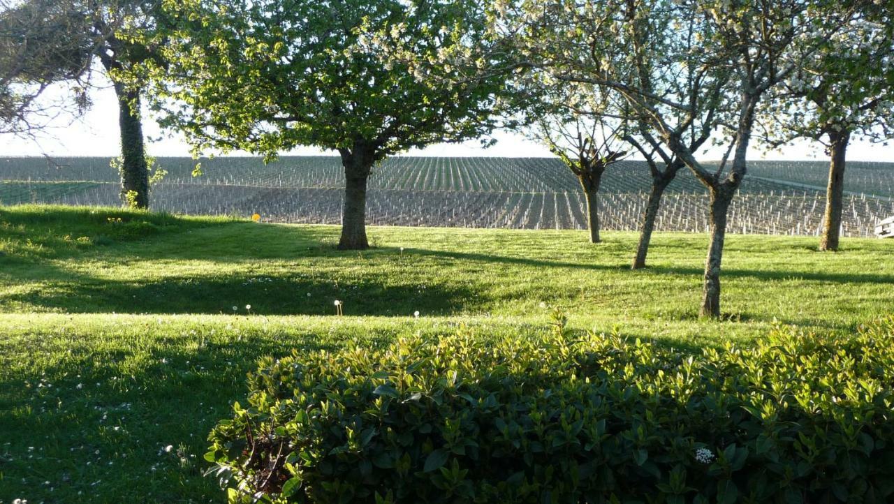 Des Vignes Verdigny